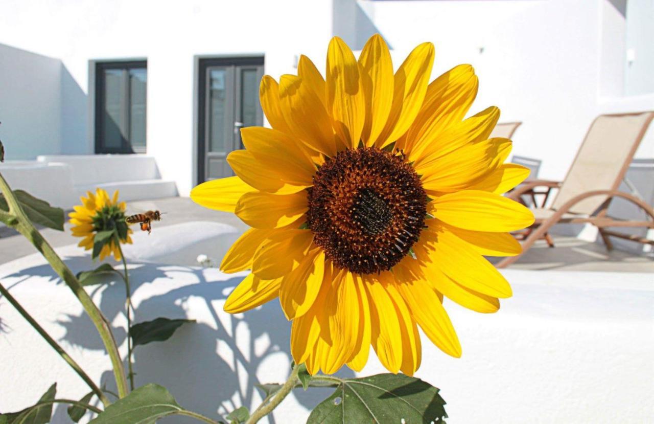 Filira Suites Perissa  Dış mekan fotoğraf